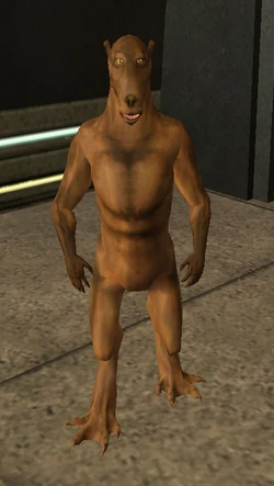 Kirkin-liawoon.jpg