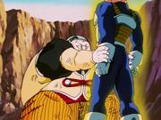 19VegetaAbsorb