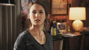 PLL110-00799
