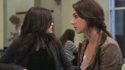 PLL113-0244
