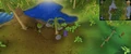Shilo village - fissure.png