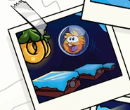 OrangePufflePufflescapePic