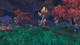 FieldsofNiuzao
