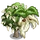 Dove Tree-icon
