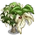 Giant Dove Tree-icon