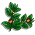 Imperial Tea-icon