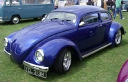 Blue roofchop beetle