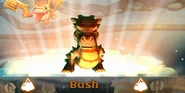 Bash the dragon
