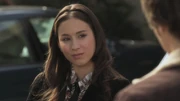 PLL119-0228