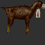 Goatunused.png (1 KB) Goatunused