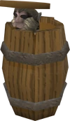 Barrel (monkey)