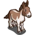 Kiang-icon