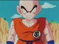 Krillin mad
