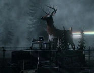 Deerfestfloat