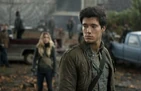 Royfs21
