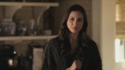 PLL204-0142