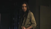 PLL205-0955