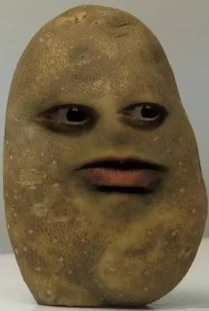 Potato