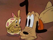 018-006confrontation