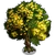 Aromita Tree-icon