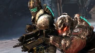 Ds3-4