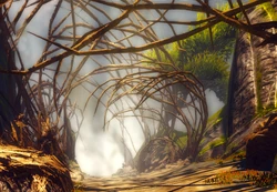 Pteryx eyries