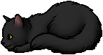 Graypool.kit