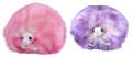 Pygmy puffs.jpg