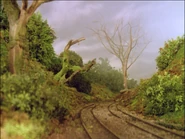 JamesandtheTroublewithTrees49