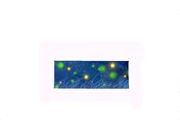 Fireflies