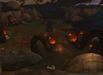 DuskrootFen