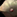 IconSmall Carp