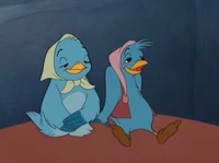Birds Sitting on the Bed