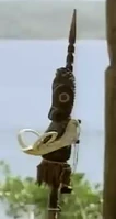 Vanuatu Immunity Idol
