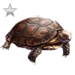 Item mojavedeserttortoise silver 01