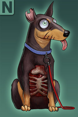 Doberman Pinscher.PNG