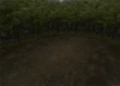 Forest2-ffix-battlebg