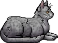 Lichenfur.elder