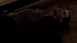 TVD Klaus Desiccated