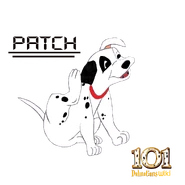 101DWPatch