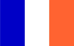 New York-Northeastern flag2