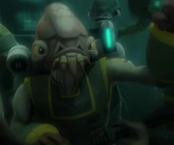 Unidentified Mon Calamari commander