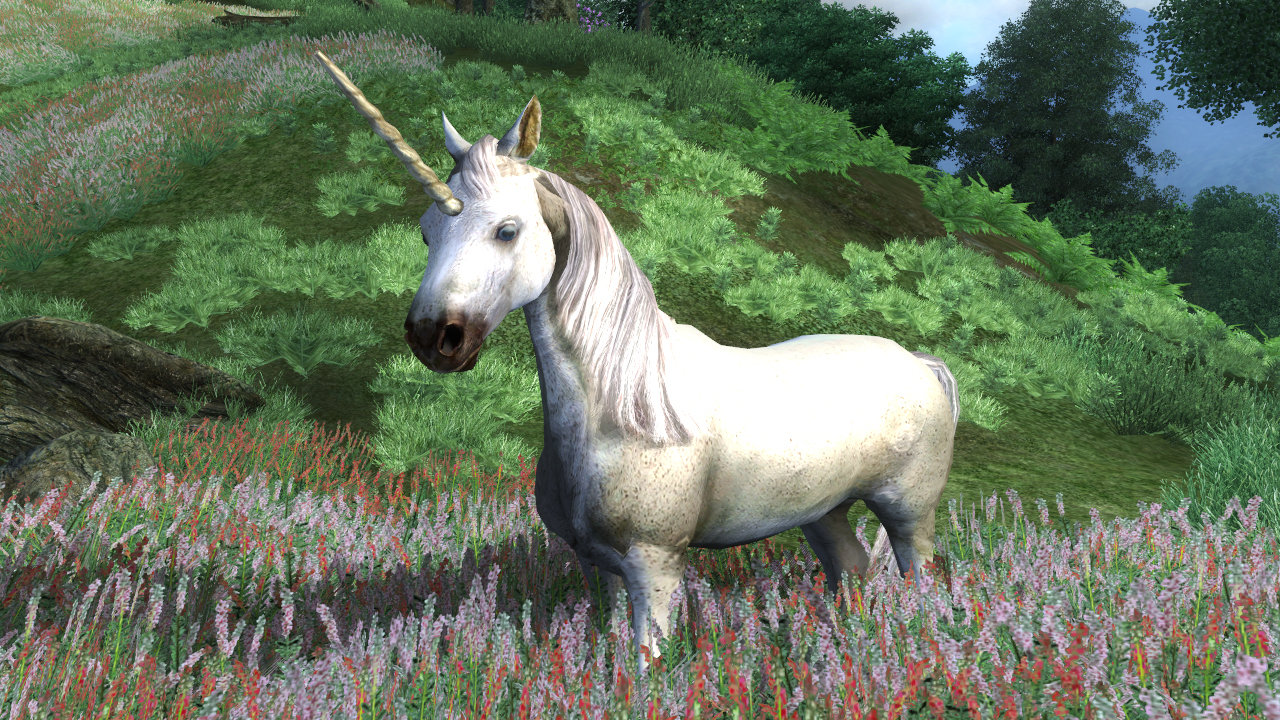 unicorn-the-elder-scrolls-wiki