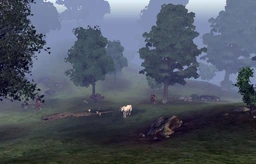 Harcane Grove