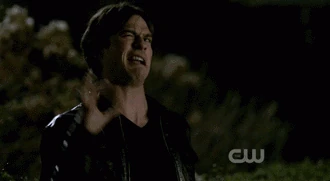 Damon-tvd rocks-20405703-330-181