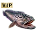 Item snakefish 01