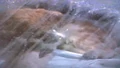 Jonesy in Hypersleep.jpg