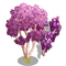 Chinese Redbud Tree-icon