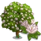 Oyama Magnolia Tree-icon
