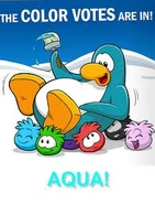 Aqua won